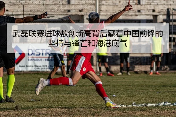 武磊联赛进球数创新高背后藏着中国前锋的坚持与锋芒和海港底气